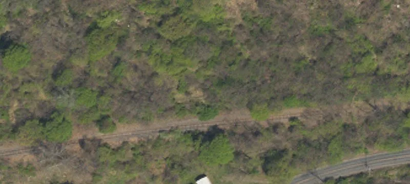 Lehigh Dr