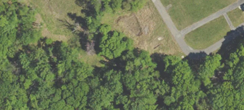 Cherry Tree Rd
