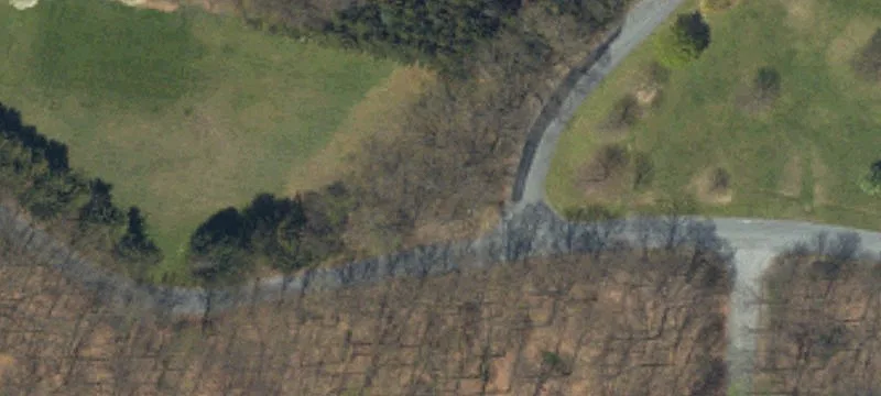 Woods Rd