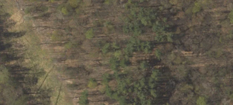 Rte 309