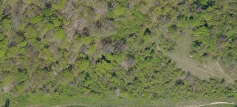 Irwin Run Rd