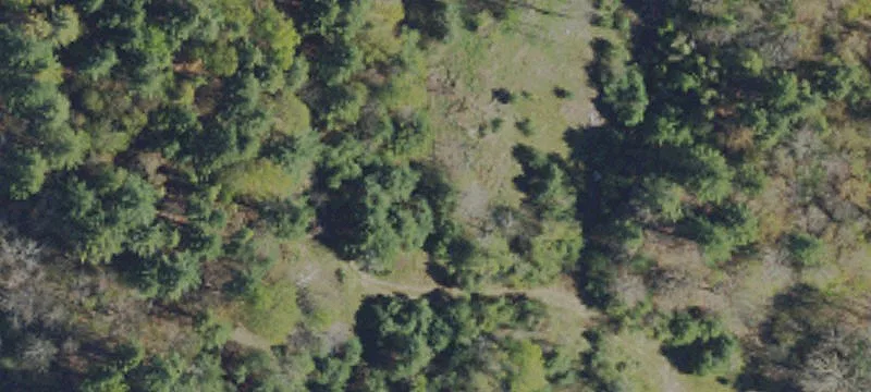 Rte 367