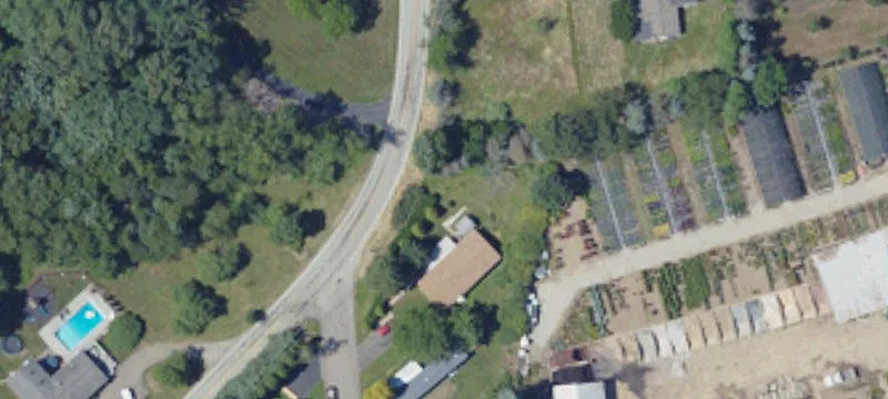 Rte 19