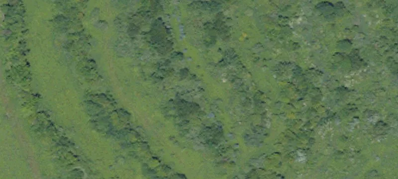 Game Farm Rd