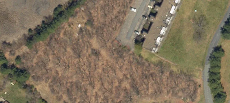 Foxfire Dr