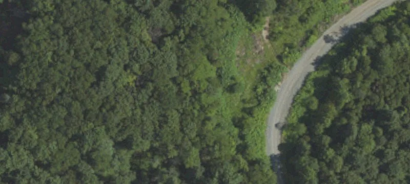 Puritan Rd