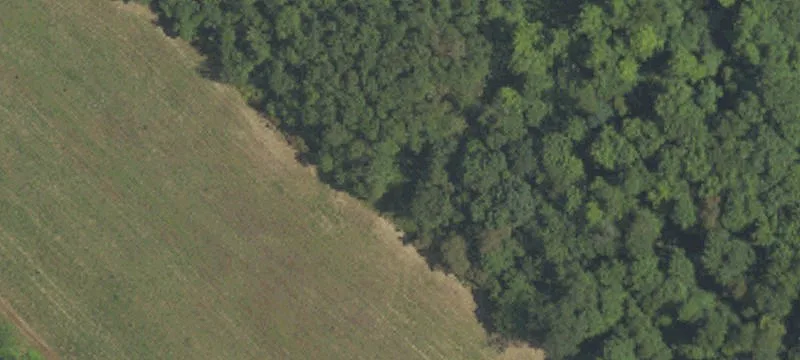 143 Woodstown Hwy