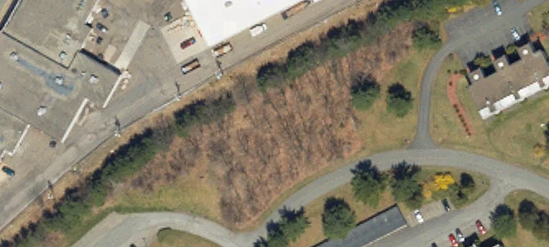 Foxfire Dr