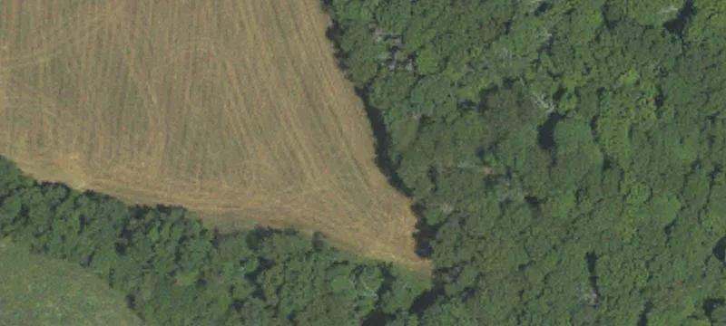 Horsetrack Rd