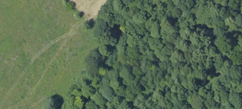 Potter Run Rd