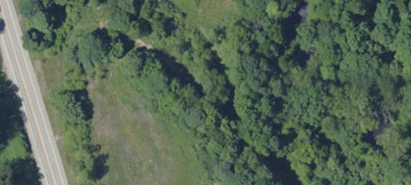 Rte 19