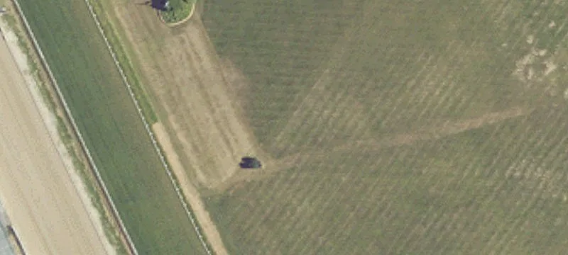 Of Fox Run Rd