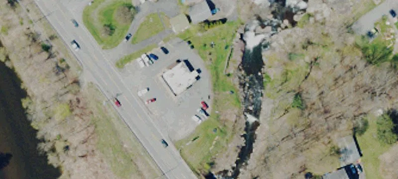 The Purple Cow