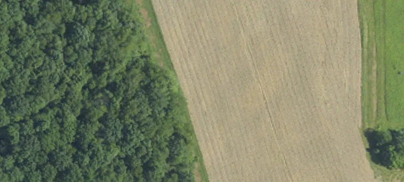 Swede Hl Rd