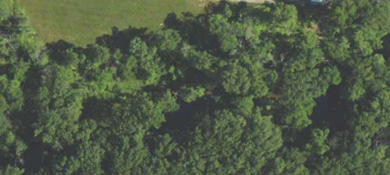 2110 Art School Rd