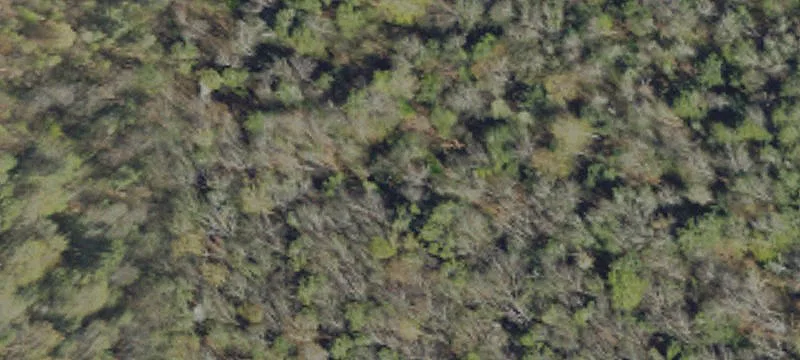 Stevensville Mtn Rd