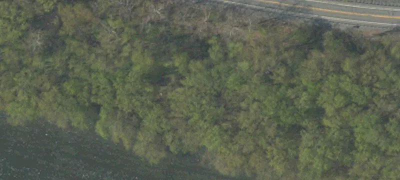 Campsite Area