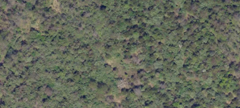 Natural Spgs Rd