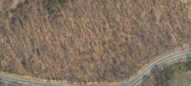 Long Run Rd