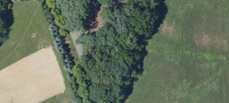 217 Petrie Rd