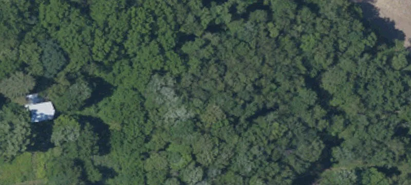 Westminster Rd