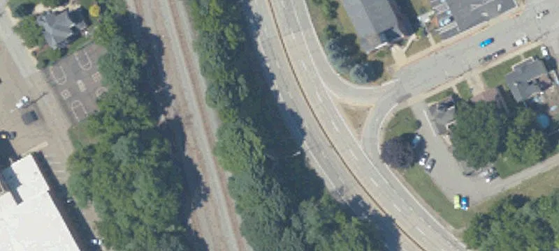 Leopard Ln
