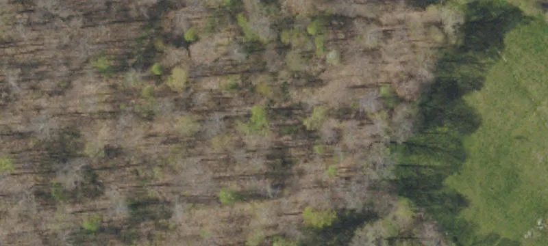 Markleton, PA 15551
