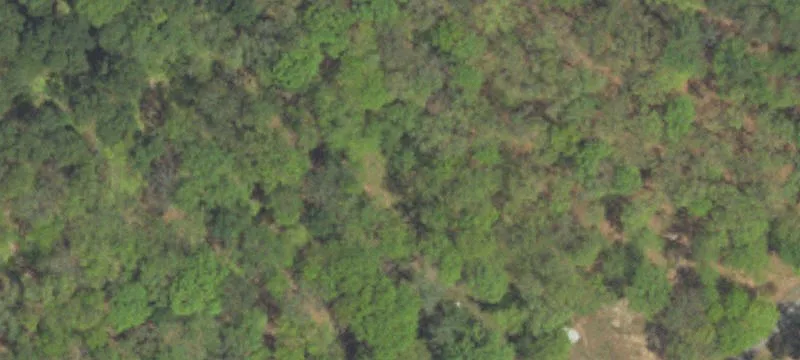 15 Clb Rd