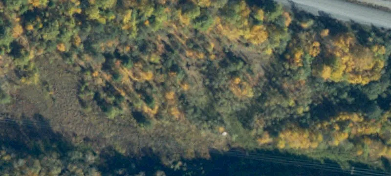 Moose Grade Rd