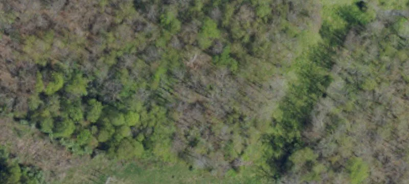 Graysville, PA 15337