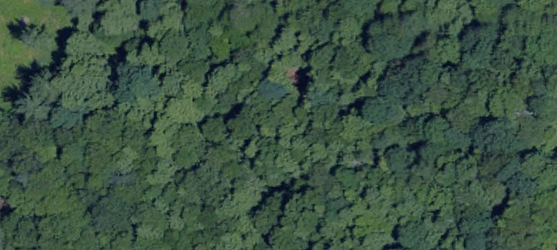 Sligo, PA 16255