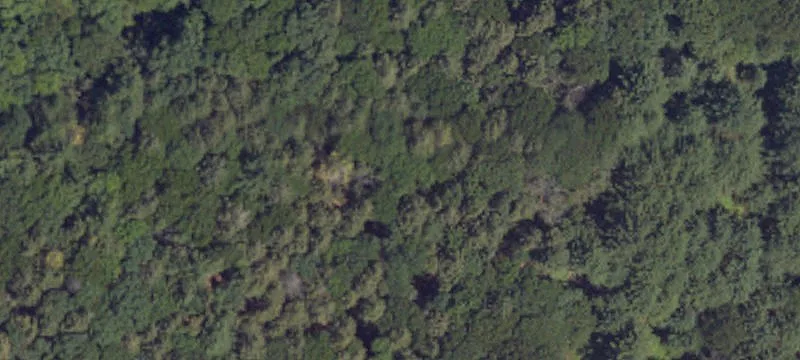 Driftwood, PA 15832