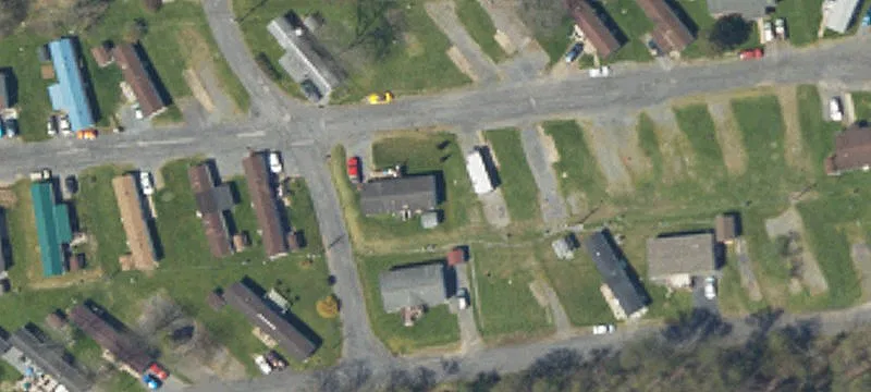 Bucktail Ave