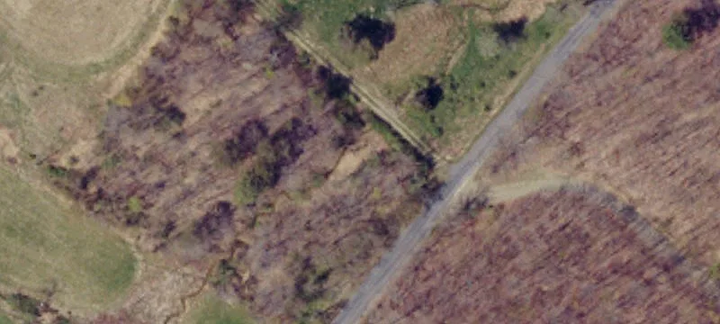 Hog Holw Rd