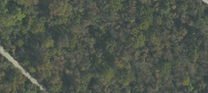 Old Indiana Rd