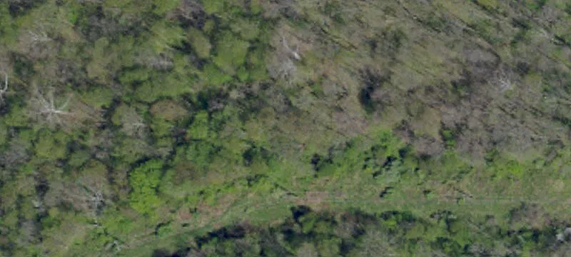 Graysville, PA 15337