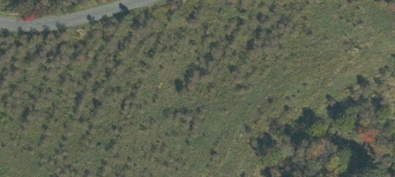 1708 1st Mine Rd