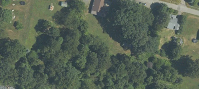 290 Caroline St