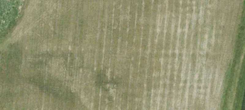 Mineral Rights