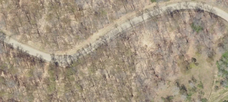 Turkey Trak Rd