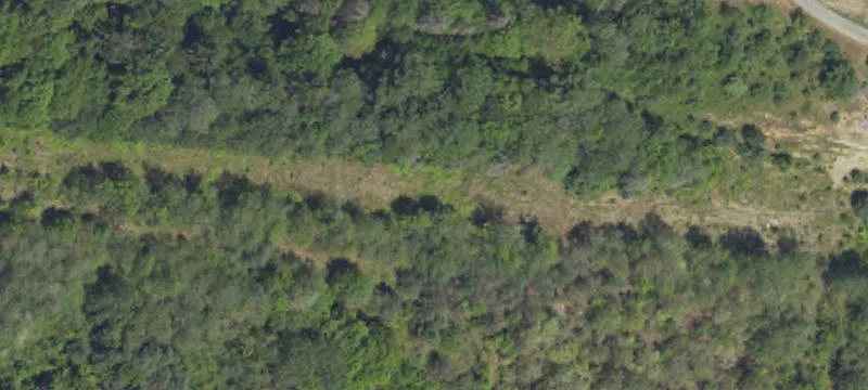 515 Bear Hl Rd