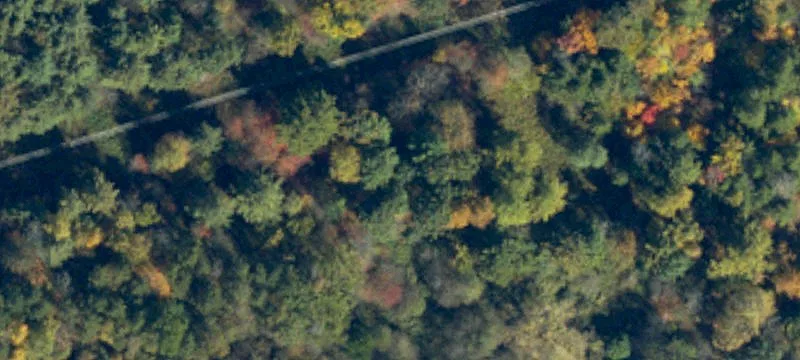 Clearfield County