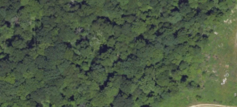 Punxsutawney, PA 15767