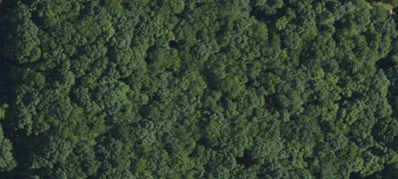 Strattanville, PA 16258