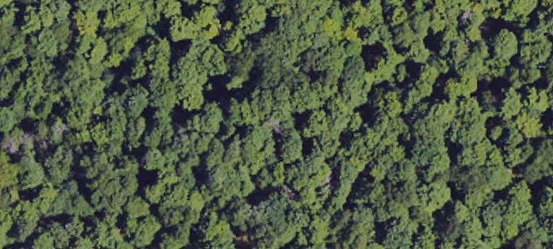 Spartansburg, PA 16434