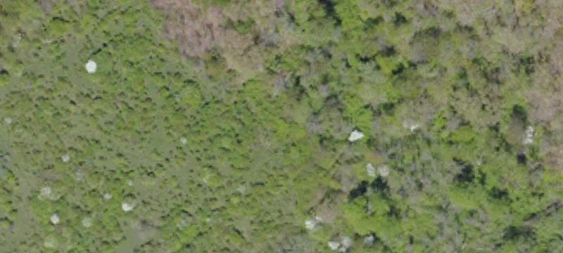 Waynesburg, PA 15370