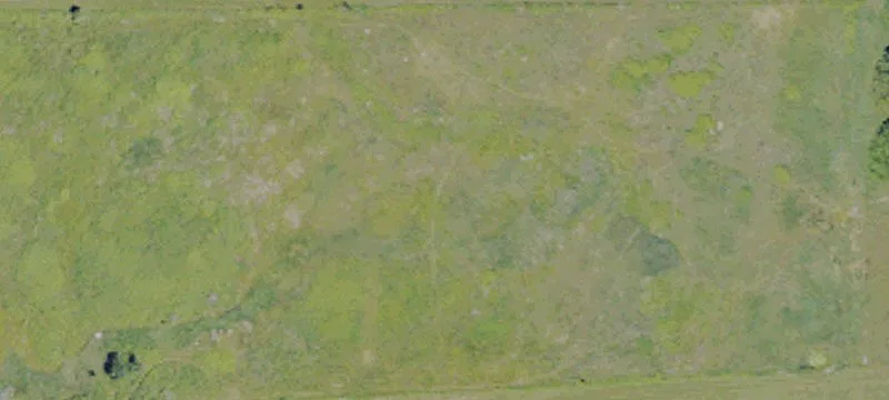 Rt 1007