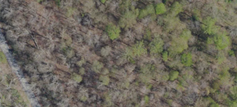Wind Ridge, PA 15380