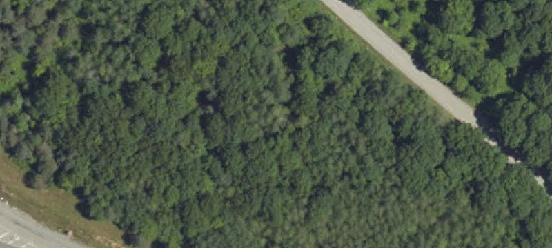 Corsica, PA 15829