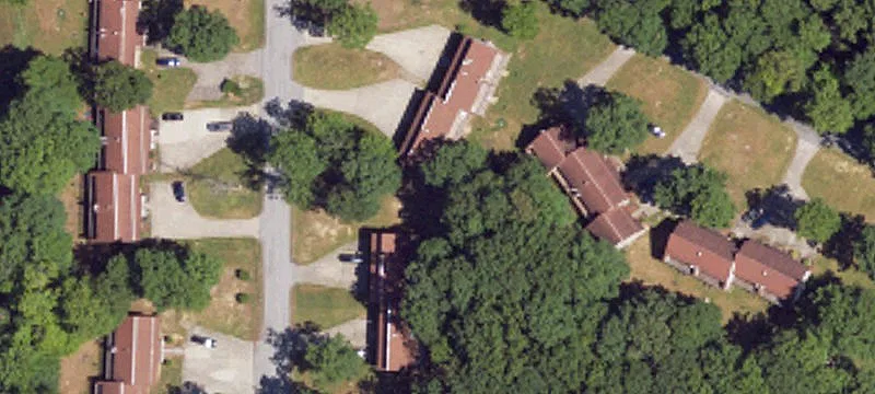Palmetto Rd
